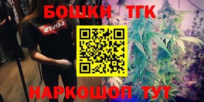 spice Тара