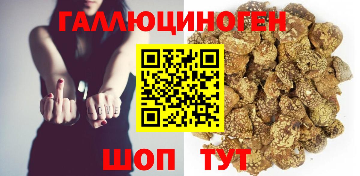 Галлюциногенные грибы Psilocybe Нурлат